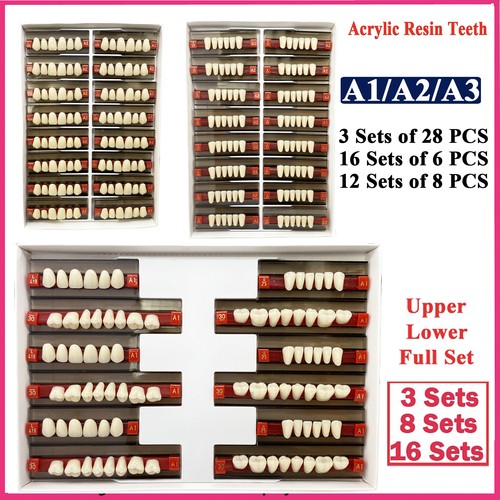 Set dental acrylic - 3/8/16,