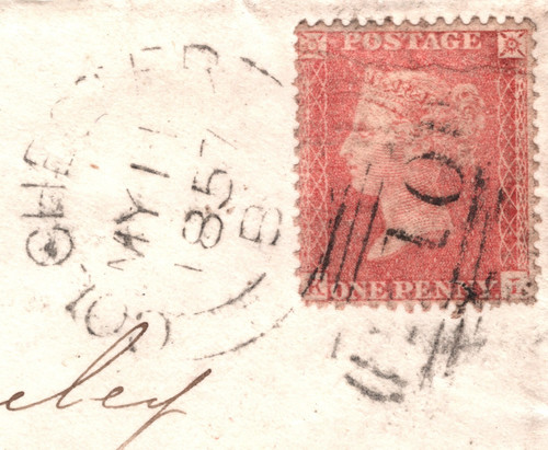 Penny red c9a 1d - penny, rose