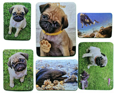 Custom Photo Fridge Magnet |