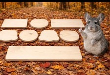 9 pc Ledge For all caged