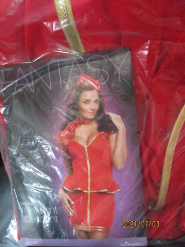 Ann summers frisky flight - summers,