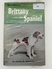 How to Raise and Train a Brittany Spaniel