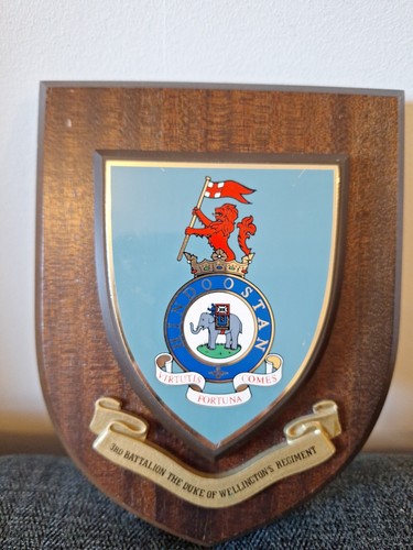 The 3rd battalion duke - the,