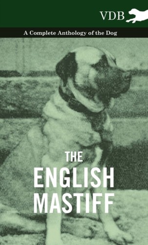 Various english mastiff - various, a