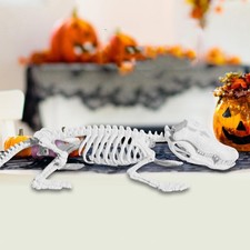 Halloween Crocodiles Skeleton Decor Animal Skeleton for Garden Haunted Room