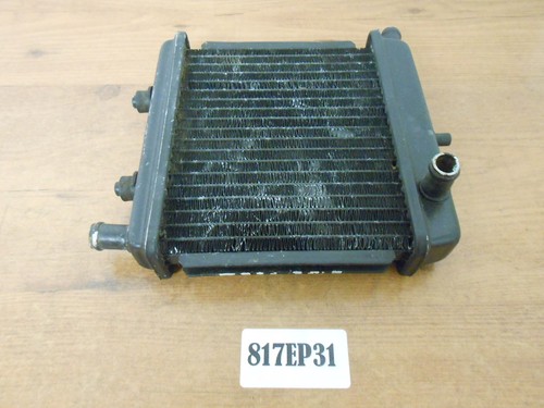 Aprilia rs50 radiator 2005 - rs50,