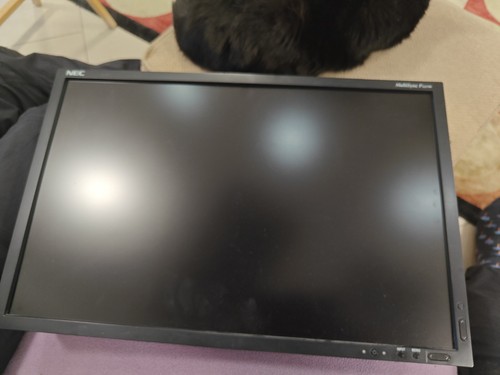 Nec multisync p221w - ,