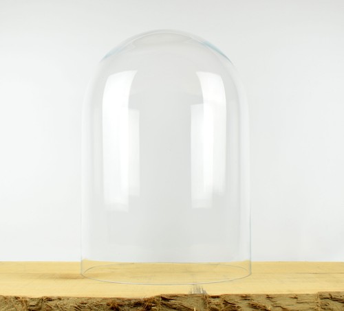 Glass dome cover - dome,