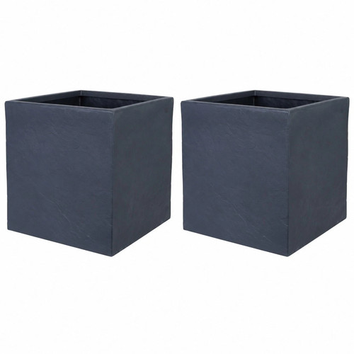Pack square plant - pack,