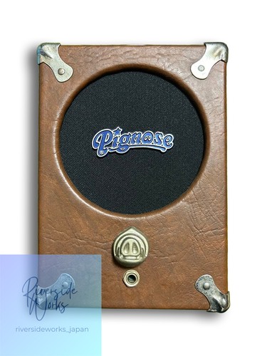 Pignose retro style - retro, amp