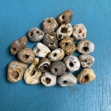 Twenty Natural Hag Stones