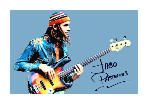 Jaco pastorius bass - a4, repro