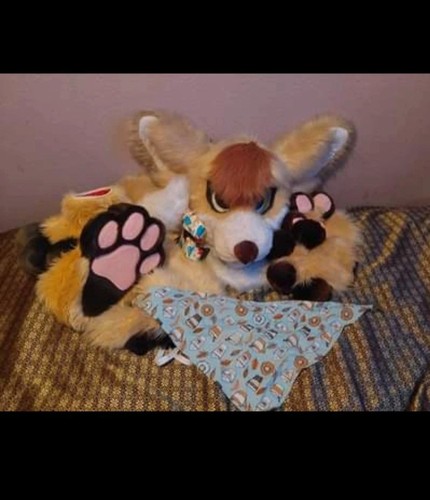 Corgi partial fursuit made by - corgi,