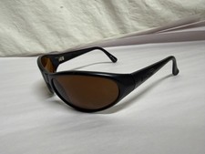 Arnette Black Raven Sunglasses