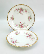 Paragon Victoriana Rose - 2x