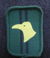 Vintage scout patrol badge - patrol,