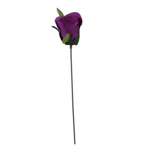 Cadbury purple rose - purple,