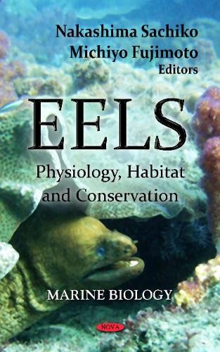 Eels nakashima sachiko - eels,