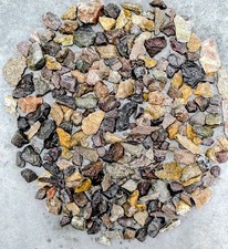 Utah Dinosaur Bone Rough - 10