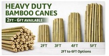 Heavy duty bamboo - bamboo, canes