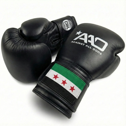 Syria boxing gloves aao - boxing,