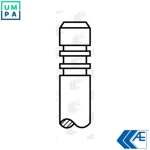 Intake valve v95176 for - valve,