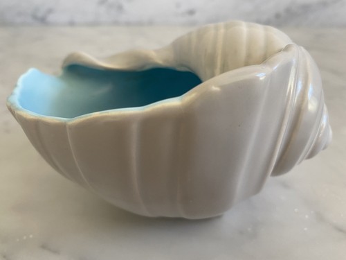 Poole winkle shell vase sky - winkle,