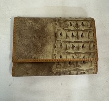 Evolution Pierre Cardin Brown