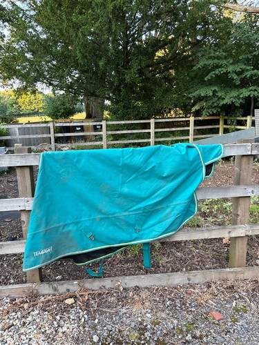 Shires light weight turnout