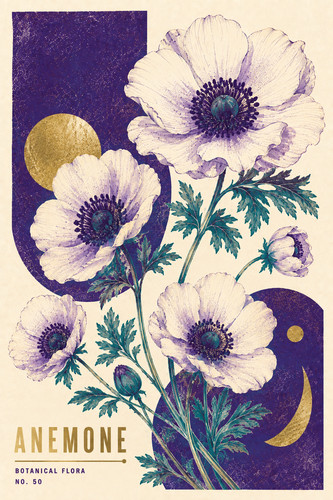 Instrukcjascribe anemone - 50., instrukcjascribe_anemone