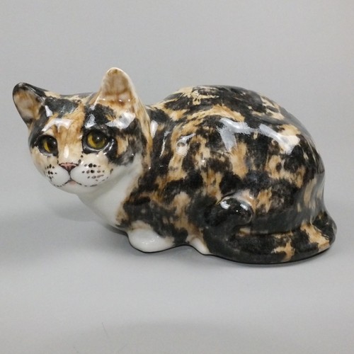 Large winstanley cat - winstanley, 5
