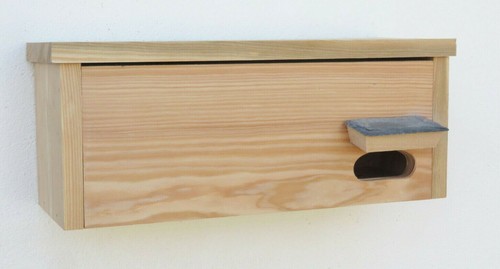 Pair swift boxes bird - 2,