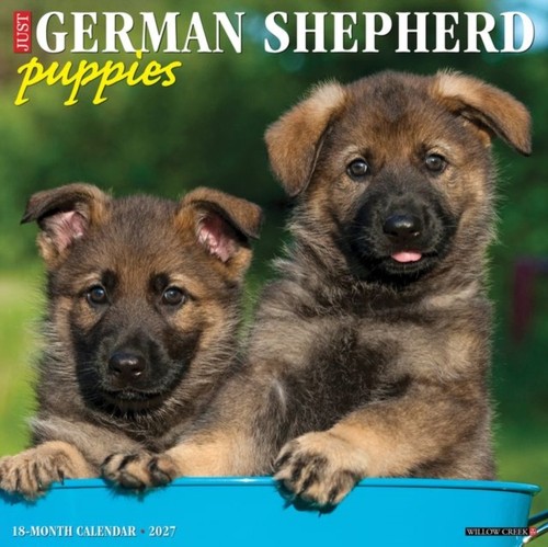 German shepherd puppies 2027 - german,