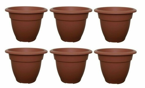 Plastic round plant - x,