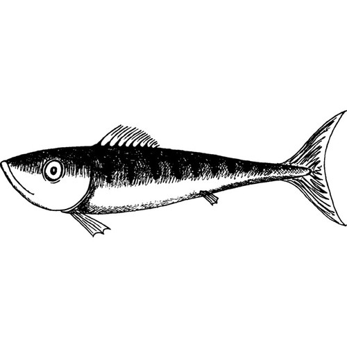 Fish unmounted rubber stamp - 'fish',