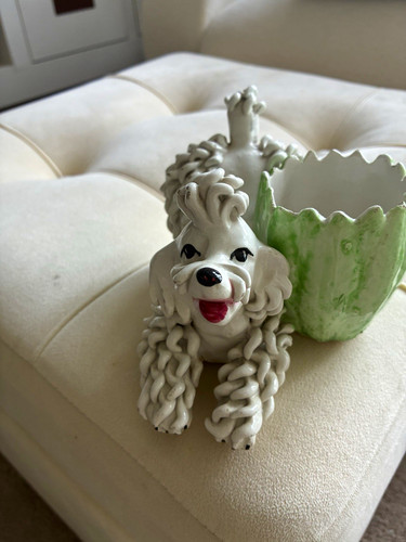 White spaghetti poodle ceramic - white,