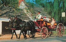 Williamsburg VA, Mulberry