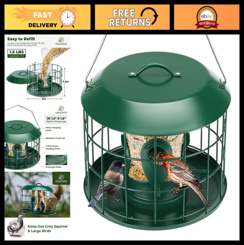 Squirrel proof bird - squirrel, feeder