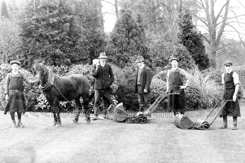 Mmg horse drawn - horse,