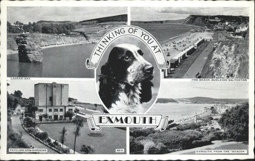Vintage exmouth devon - vintage,