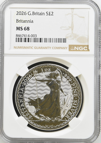 Britannia silver coin 2 - britannia,