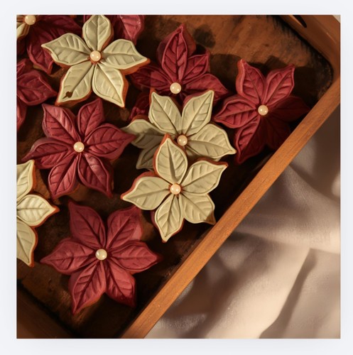 Poinsettia flower petal - flower,