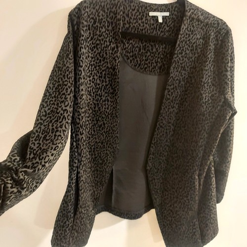 Lemon tart open front black - tart, open-front,