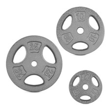 CAP weightlifting plates in