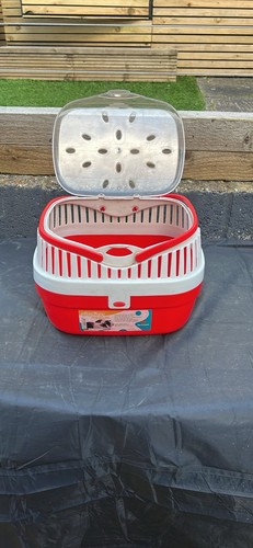 Guinea pig and rodent - pig,