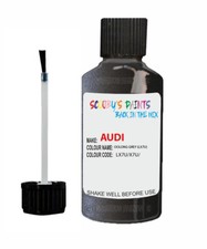 Paint Touch Up For Audi Oolong