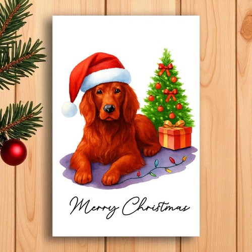 Irish red setter dog christmas - setter,