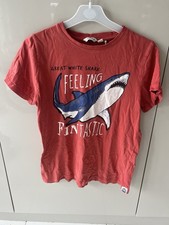 Boys' Fat Face Shark T-Shirt Blue Green, Age 12-13 Years