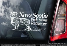 Nova Scotia Duck Tolling