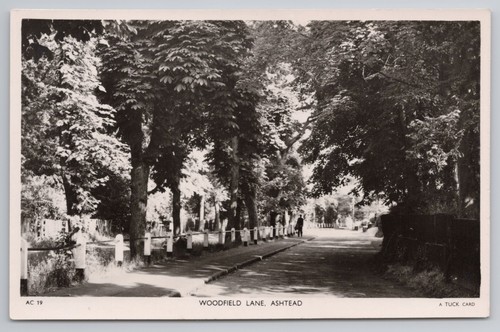 Ashtead rppc woodfield lane - rppc,,